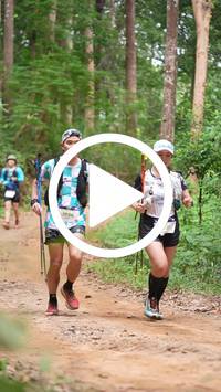 BIB:  <button type="button" onclick="openModal(26816877)" class="btn btn-primary btn-sm float-right" data-toggle="modal" data-target=".modal-high-quality">
                <i class="fa fa-download"></i> Download
                </button>